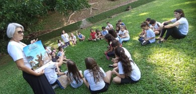 Abertura do Girassol em 2025